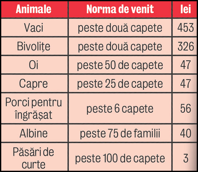 Fermierii din ţară sunt nemulţumiţi de taxele pe animale: «O să mai tăiem din ele, maică!»