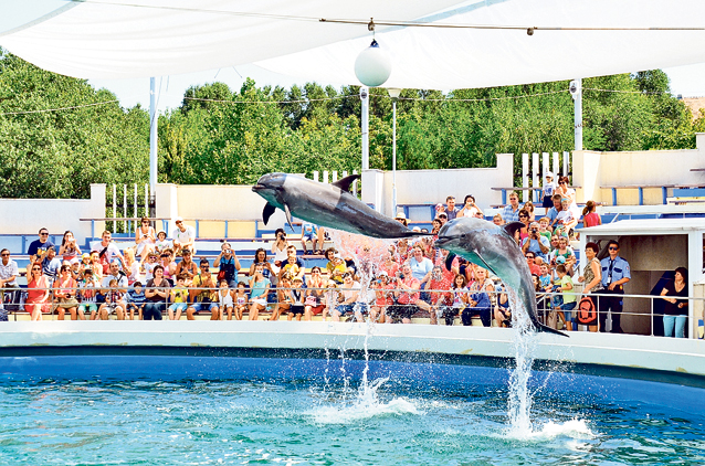 Muuultă răcoare! Fiecare se apără cum poate de caniculă