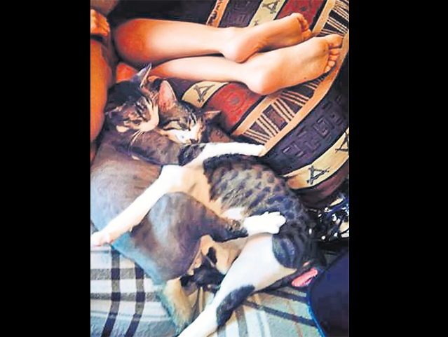 RUBY, DESFIINŢATĂ după ISPRĂVILE dintr-o seară de beţie: Mi-a împuţit maşina cu mirosul de picioare