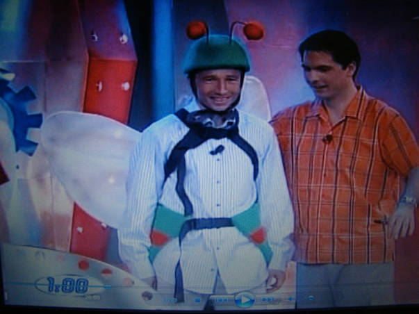 dan petrescu albinuta