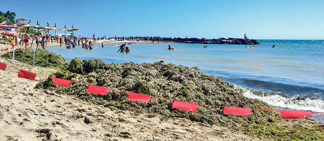 După ce a fost pe Litoral, restaurantul de pe macara se mută în Bucureşti! Ai curaj să mănânci la 50 m înălţime?