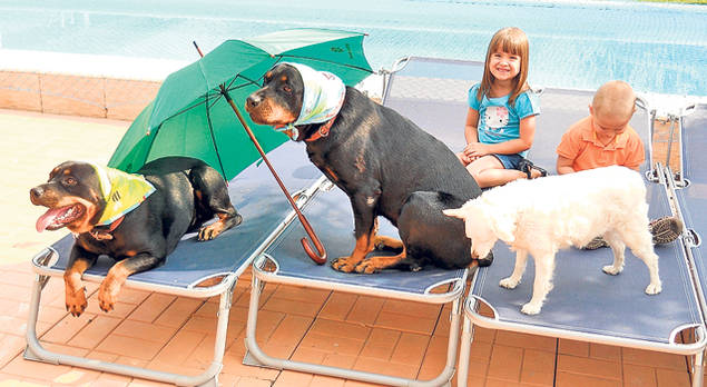 VIAȚĂ DE CÂINE! Uite cum își răsfață vedetele animalele! FOTO