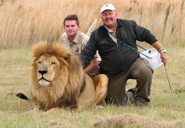 În Africa de Sud, leii sunt tratați regește, având parte de ședințe de masaj | FOTO