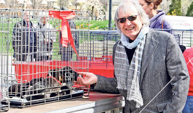 EUTANASIEREA CÂINILOR a rupt ROMÂNIA ÎN DOUĂ! VEDETELE sunt și ele ÎMPĂRȚITE