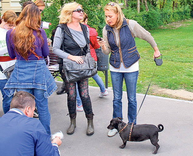 A fost weekendul protestelor în Capitală! Bicicliştii au cerut demisia primarului