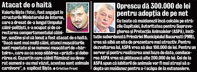A fost ucis de maidanezi! Un dresor explică de ce pică ipoteza atacului unui câine de luptă în cazul lui Ionuţ: "L-ar fi dezmembrat"