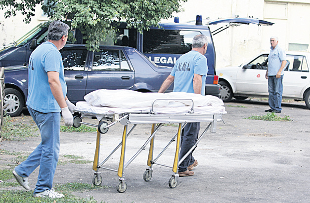 Maidanezii din "parcul groazei" sunt hrăniţi zilnic! FOTO