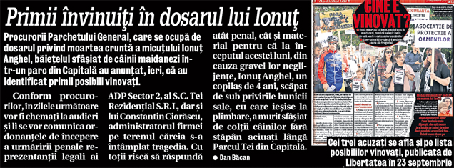 O familie din Buzău «exportă» maidanezi pe bandă rulantă