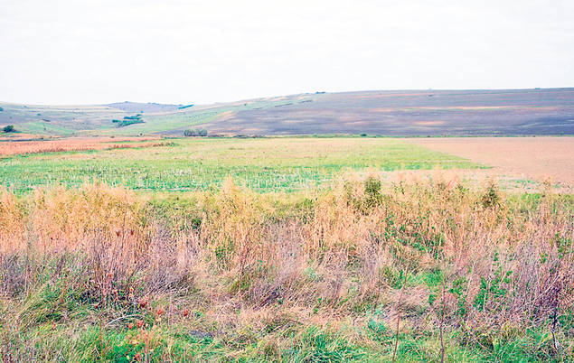 Îşi riscă viaţa când beau o cafea! În caz de cutremur, clădirile din Centrul Istoric al Bucureştiului ar putea să se prăbuşească | FOTO