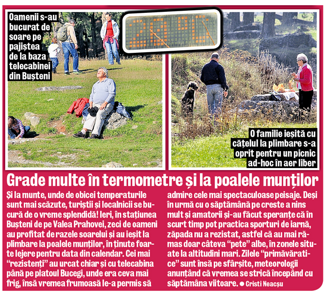 Au "înnebunit"... trandafirii. Temperaturile ridicate au dat peste cap flora