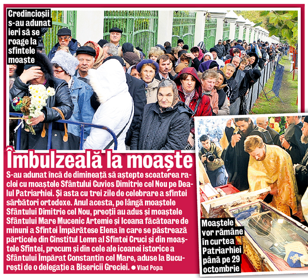 Au "înnebunit"... trandafirii. Temperaturile ridicate au dat peste cap flora