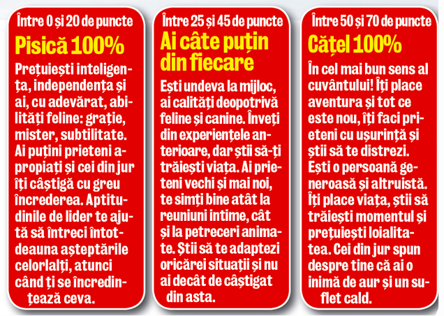 TEST | Eşti... câine sau pisică?