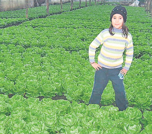 Roşiile se vor scumpi cu 50%