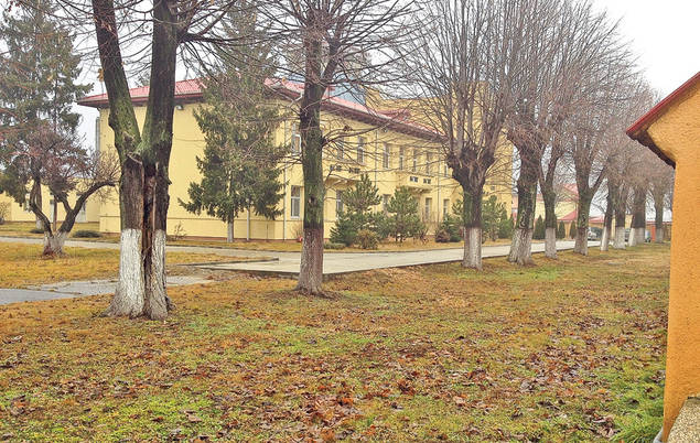 RĂZVAN VISA SĂ-ȘI ÎNTREACĂ MAESTRUL, DAR NU VA MAI PILOTA NICIODATĂ! COPILOTUL DE 23 DE ANI are picioarele făcute praf și este într-o stare foarte gravă