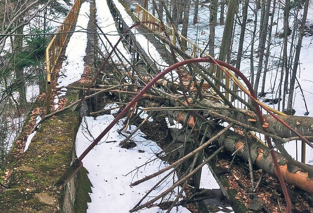 Tofalvi adoră «călăritul în doi!» N-avem rezultate, dar ne ţinem de şotii şi suntem în centrul atenţiei la JO de Iarnă