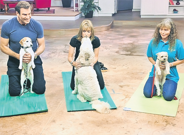 Nu îţi înregistrezi câinele? Iei amendă!