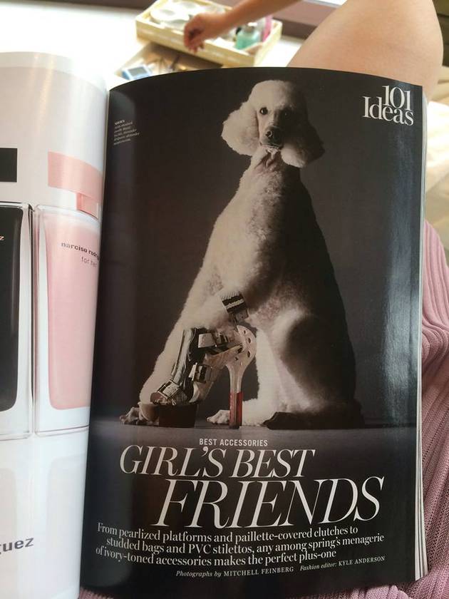 MONICA GABOR şi GĂINA DIN REVISTĂ! Oare ce va spune IULIA ALBU?