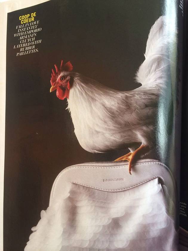 MONICA GABOR şi GĂINA DIN REVISTĂ! Oare ce va spune IULIA ALBU?