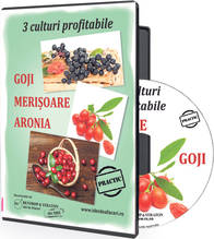 Libertatea îţi arată CUM SĂ CULTIVI goji, merişoare şi aronia