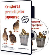 Libertatea te învaţă cum se cresc prepeliţele japoneze
