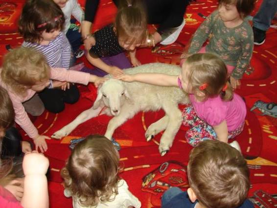 A fost adus în scopul de a fi făcut friptură pe mesele unor bătrâni, dar a ajuns bucuria copiilor