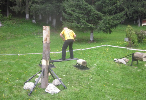 Taie buşteanu la 1,5 metri înaltime