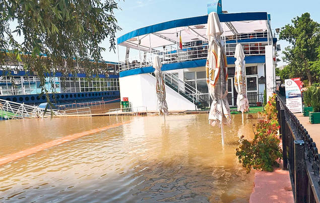 GRINDINA a distrus serele! O furtună puternică I-A NENOROCIT pe legumicultorii din Matca