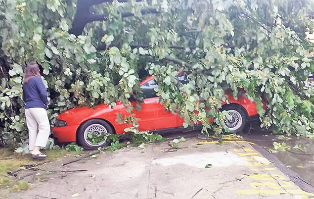 În 10 minute, vijelia le-a luat toată agoniseala! «Mi-a zburat acoperișul, solarul și găinile» | FOTO