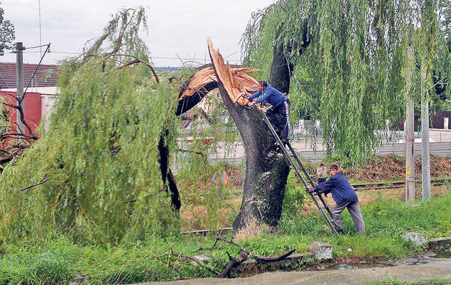 În 10 minute, vijelia le-a luat toată agoniseala! «Mi-a zburat acoperișul, solarul și găinile» | FOTO