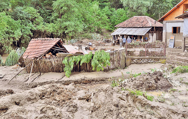 Ploile au făcut PRĂPĂD în toată țara
