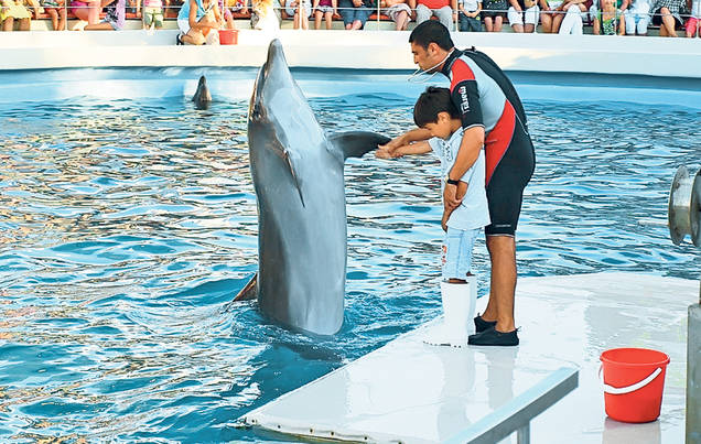 Te-ai plictisit de plajă sau nu te ajută vremea? Ai și alte opțiuni pe Litoral