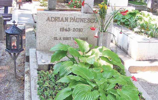 Continuă scandalul pe averea poetului Adrian Păunescu! Se ceartă pe facturile de întreținere ale celor șase case