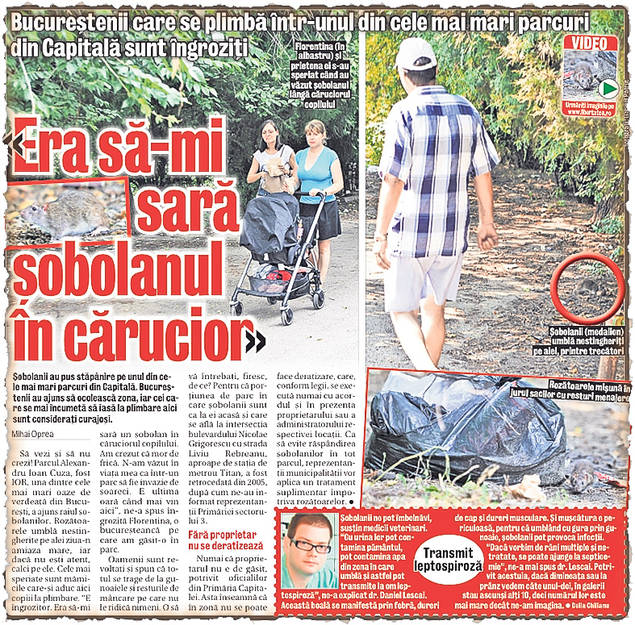 Cu maşina de tuns bălării, după şobolani