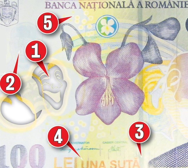 Atenție la suta de lei! E cea mai falsificată | Libertatea te învaţă cum să recunoşti banii contrafăcuţi