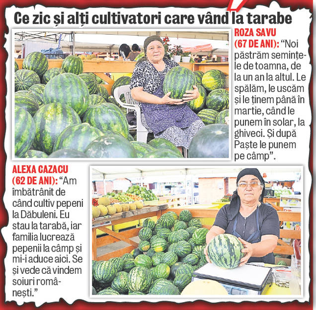 Pepeni din Dăbuleni cu origini turceşti