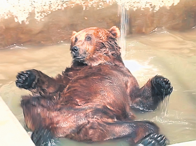 FIERBE România! A fost cea mai fierbinte zi a acestei veri