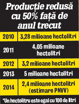 Dezastru! Ploile au distrus jumătate din recolta de struguri