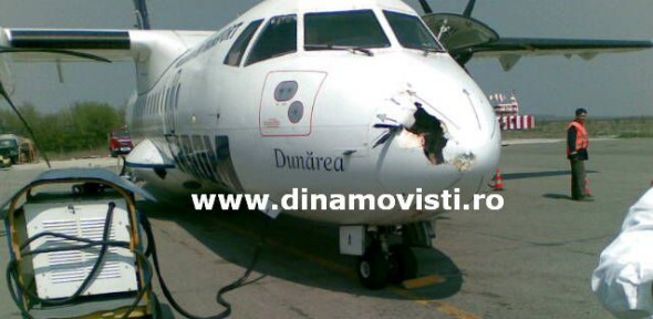 avion barza chioară