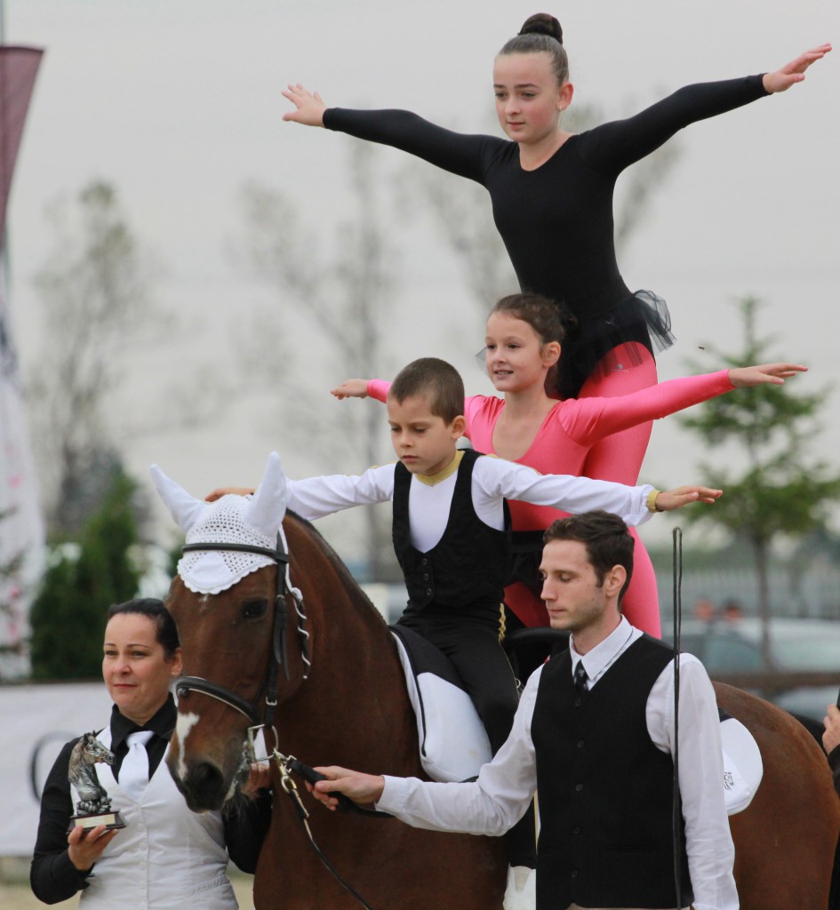 voltije01marianBurlacu