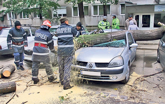 Frigul a-ngheţat petrecerile câmpeneşti