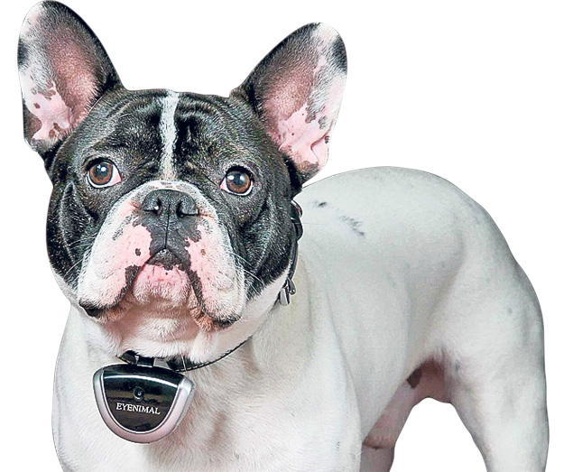 Gadgeturi mici… dar utile! Magazinele online din România îţi pun la dispoziţie obiecte hi-tech care-ţi fac viaţa mai uşoară