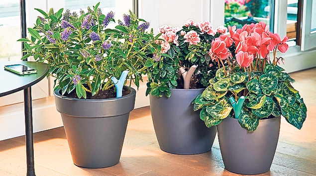 Gadgeturi mici… dar utile! Magazinele online din România îţi pun la dispoziţie obiecte hi-tech care-ţi fac viaţa mai uşoară