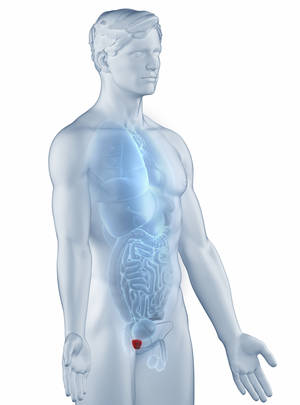 (P) Descoperire revolutionara!!! Vitamen Clinical Prostate este cel mai eficient tratament pentru tratarea prostatei