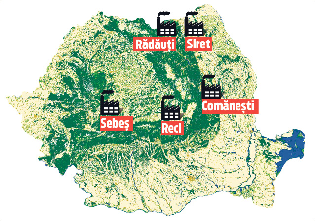 EXCLUSIV LIBERTATEA | «Termita» ce devorează pădurile României