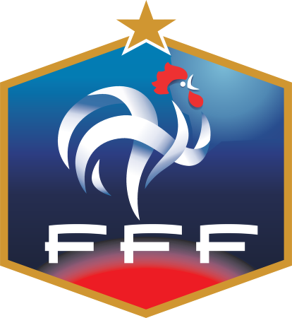 Federation_Francaise_de_Football_c65d5_450x450