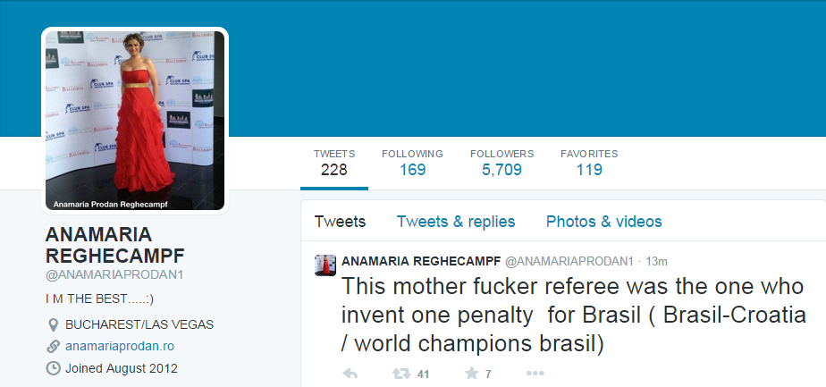 Mesaj twitter Anamaria