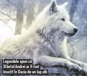 Astăzi, de Sfântul Andrei, începe pregătirea Sorcovei!
