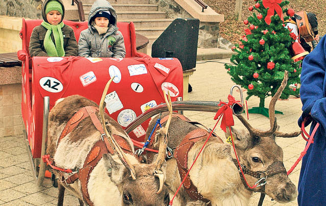 Iarnă cu probleme! Zăpada, bucurie pentru unii, coşmar pentru alţii