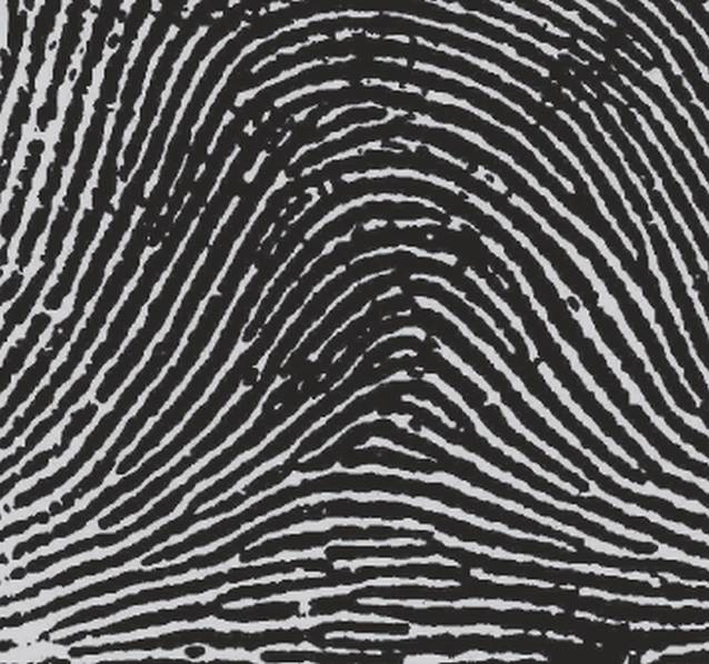 Vezi cât de inteligentă ești și cât de împăciuitoare, citindu-ți vârful degetelor! 