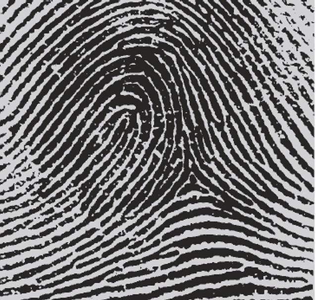 Vezi cât de inteligentă ești și cât de împăciuitoare, citindu-ți vârful degetelor! 